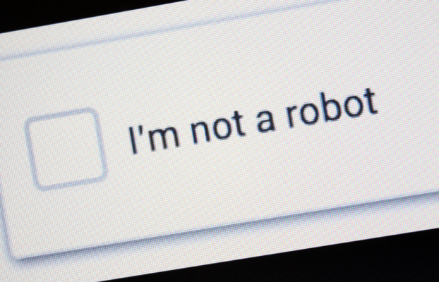 The Voice Bot World