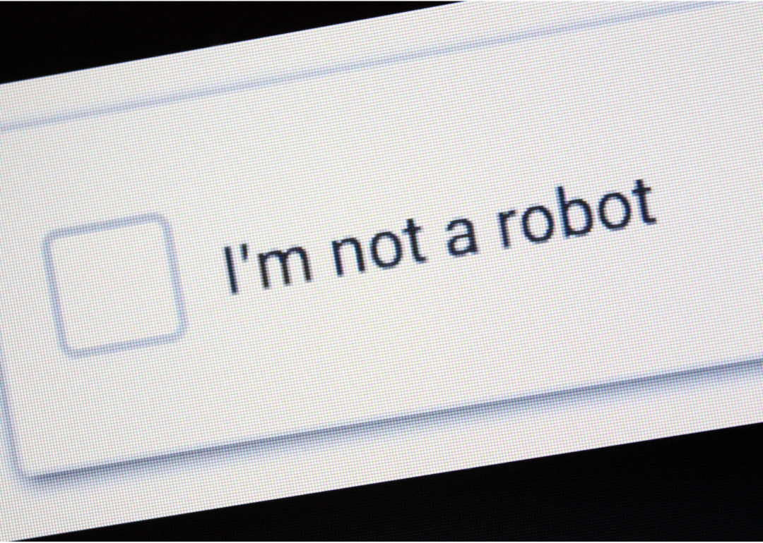 The Voice Bot World